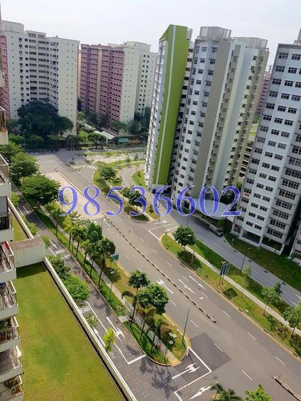 Blk 515D The Premiere @ Tampines (Tampines), HDB 5 Rooms #128399642
